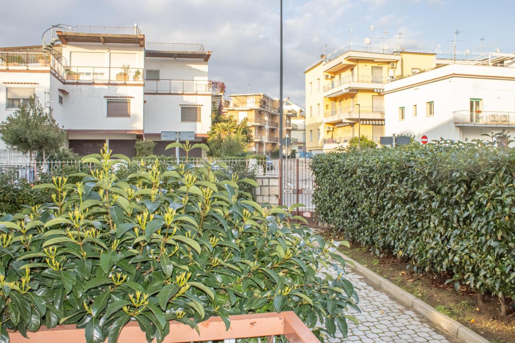 La Pioggia Nel Pineto Daire Gaeta Dış mekan fotoğraf